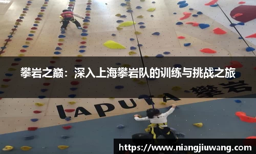 攀岩之巅：深入上海攀岩队的训练与挑战之旅